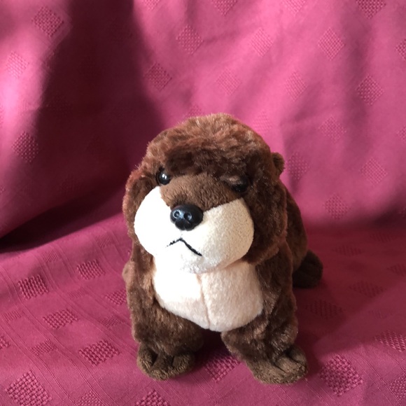 Other - 🛍️5/$20🛍️EUC, Adorable river otter.